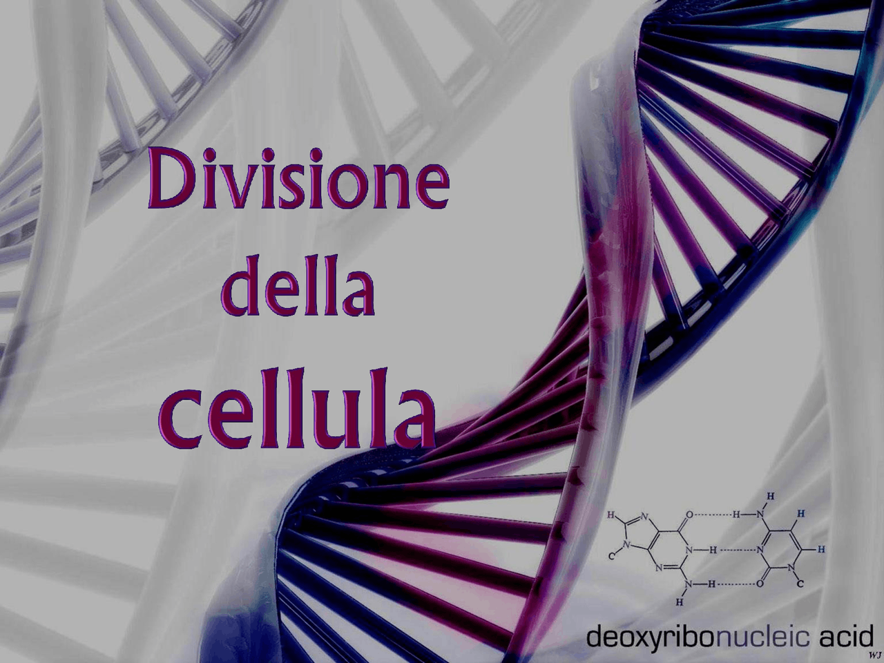 Riproduzione della cellula - Docsity