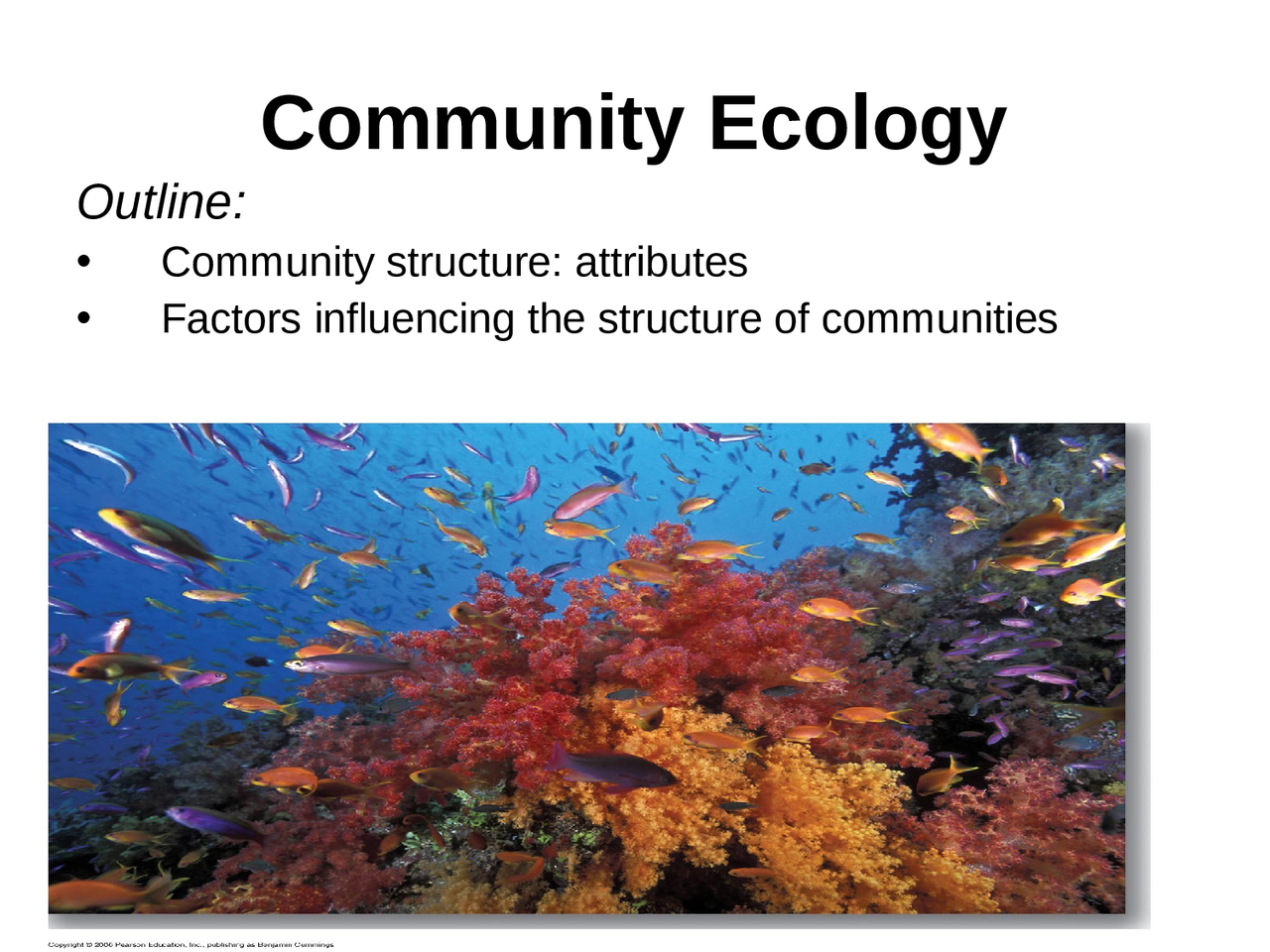 Structure Of Community Community Ecology structure and organization | Slides Ecology and ...