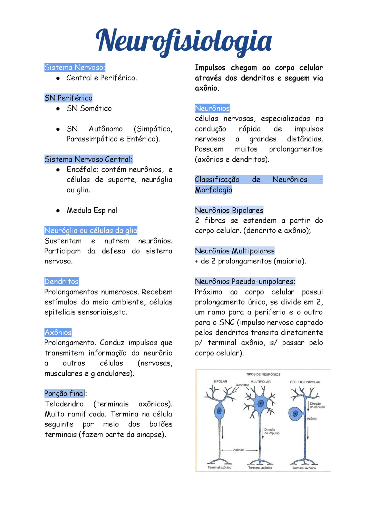 Neurofisiologia O Que é - RETOEDU