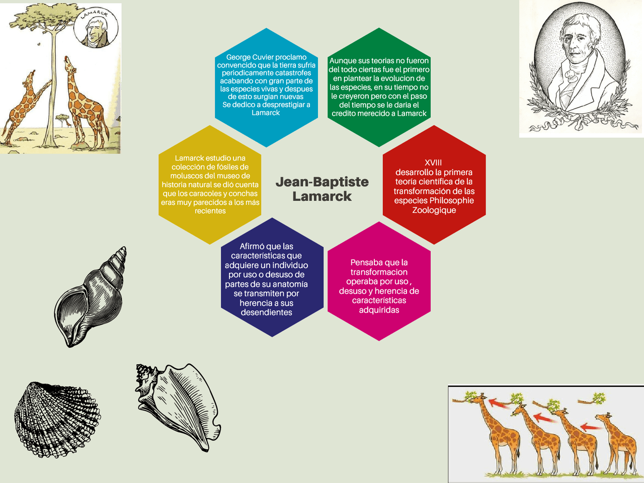 Mapa mental lamarck - Docsity