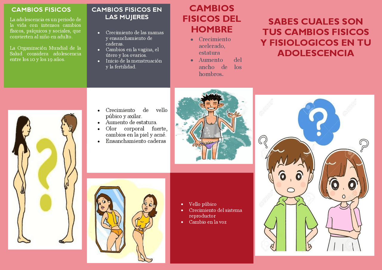 CAMBIOS FISICOS DE TERAPIA EN LOS ADOLESCENTES | Diapositivas de