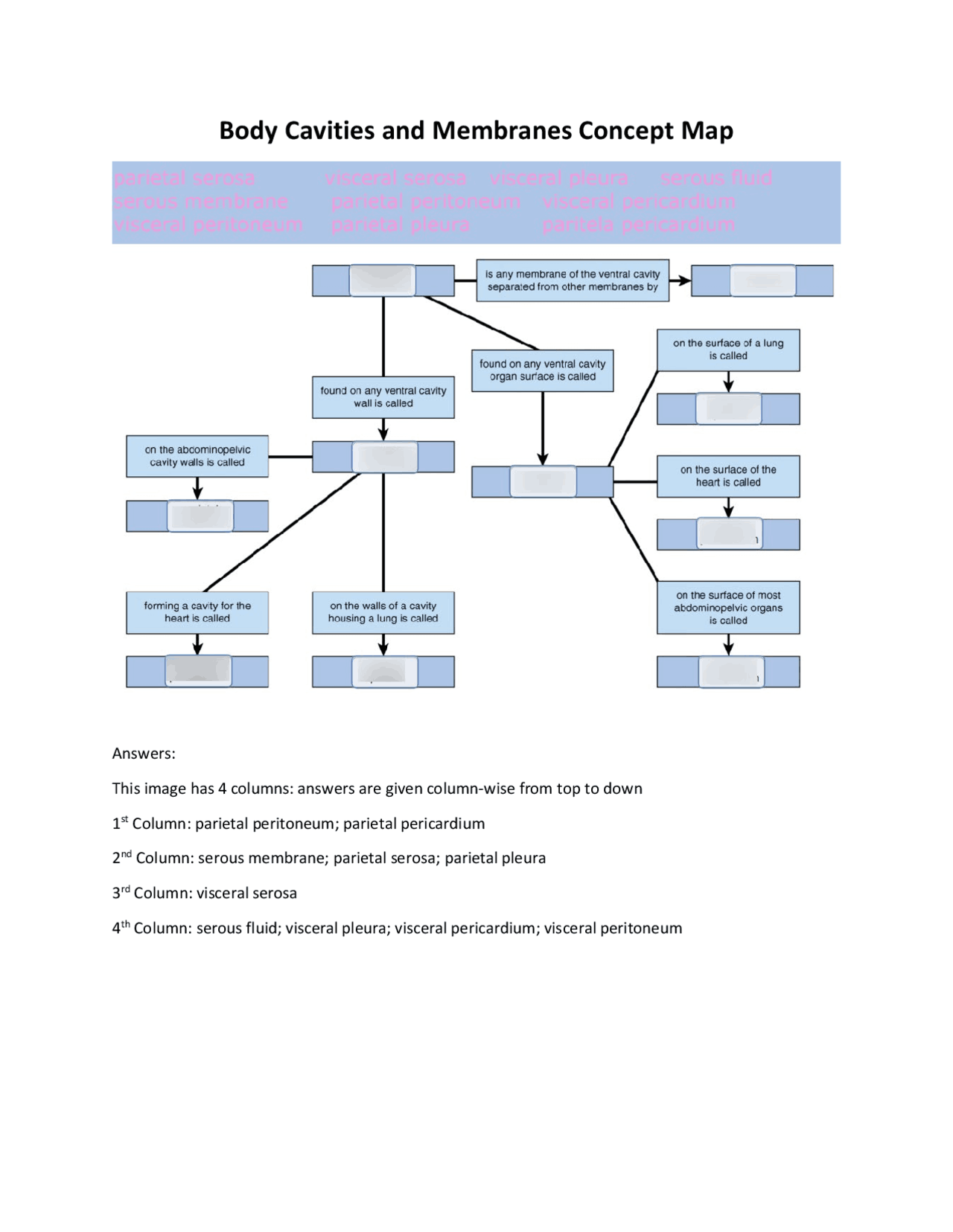 Drag The Terms To Complete The Concept Map Below. - d3q9gdq