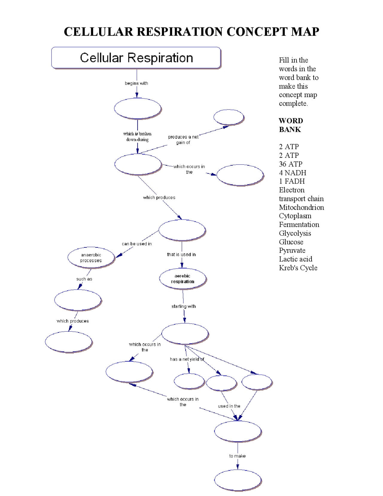 Concept Map on Cellular Respiration  Schemes and Mind Maps Biology