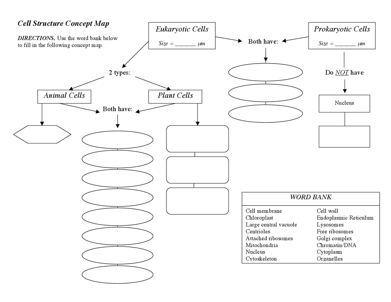 Concept Map Cell Structure: Eukaryotic and Prokaryotic Cells | Schemes ...