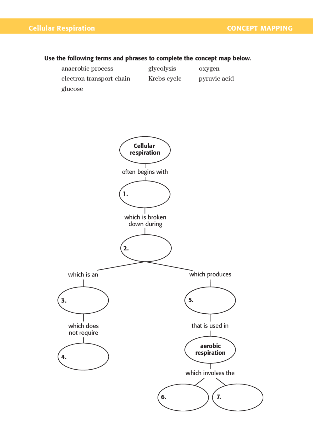 Cellular Respiration Concept Mapping with Answer Key - Docsity Pertaining To Skills Worksheet Concept Mapping