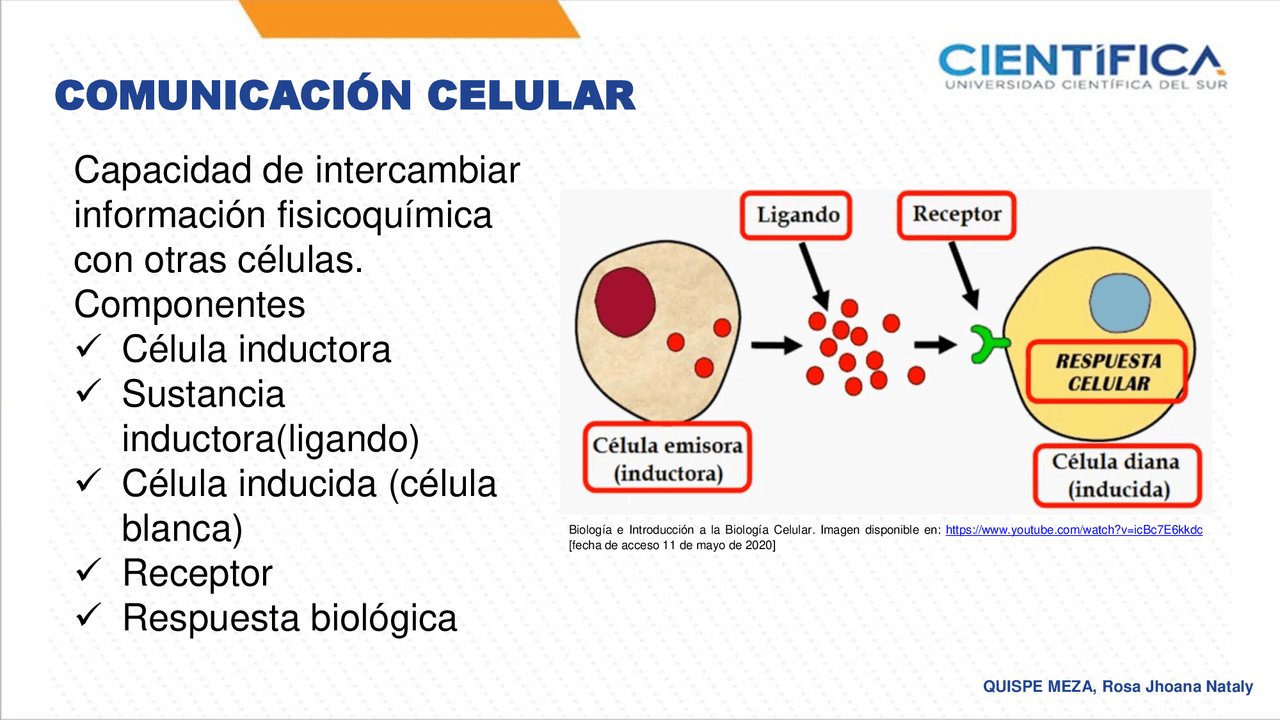 COMUNICACIÓN CELULAR - Docsity