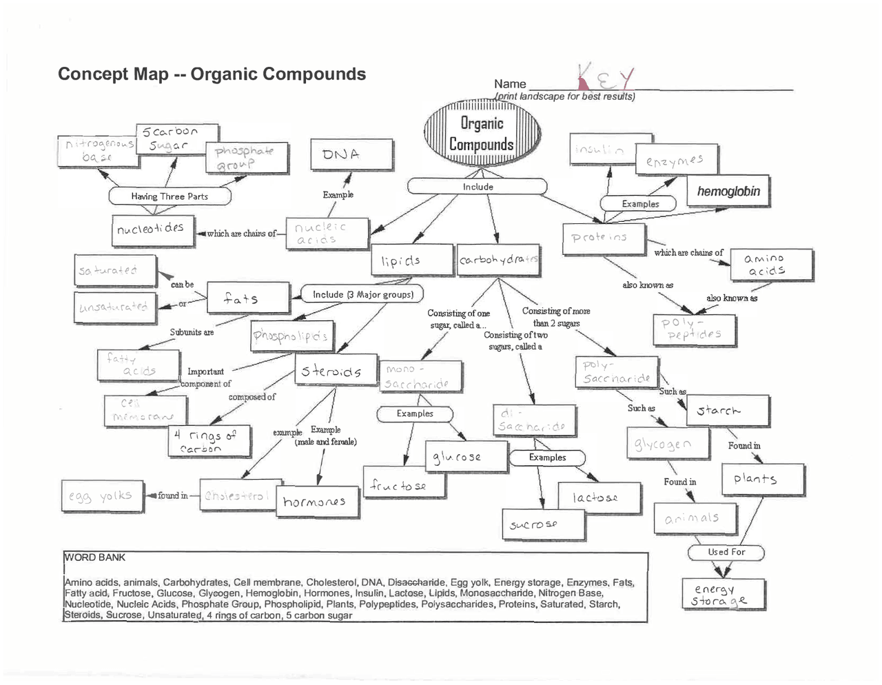 Organic Compound Concept Map with Answer Key | Schemes and Mind Maps Organic  Chemistry | Docsity