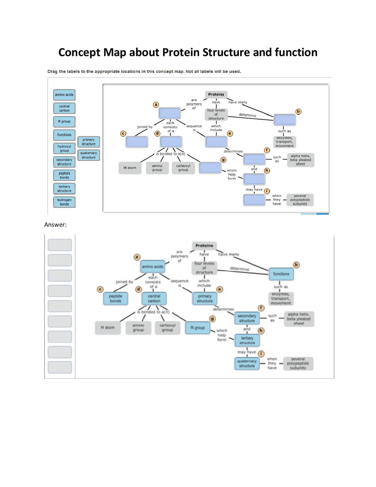 Concept Map about Protein Structure and Function Docsity