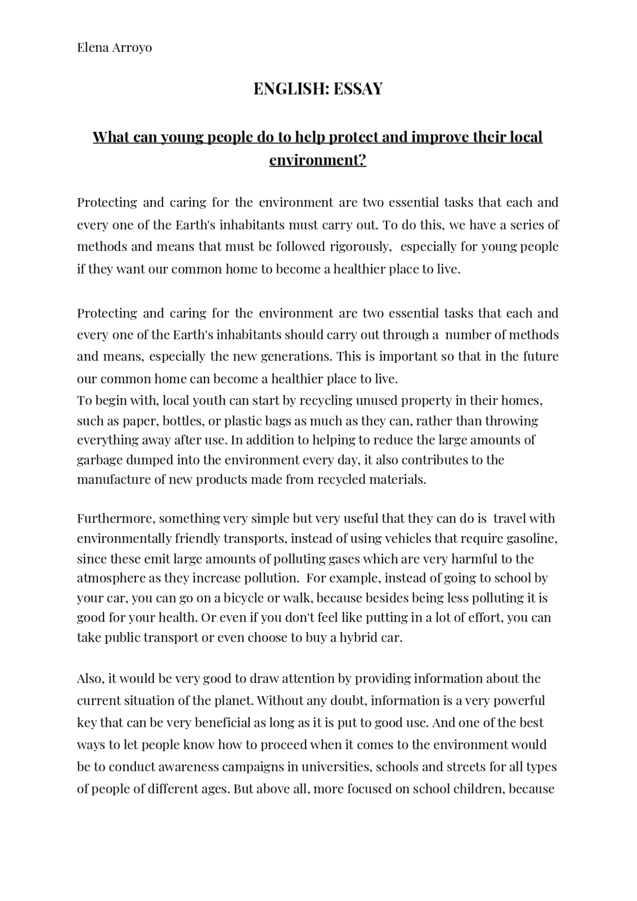 ESSAY IN ENGLISH EXAMPLE - Docsity