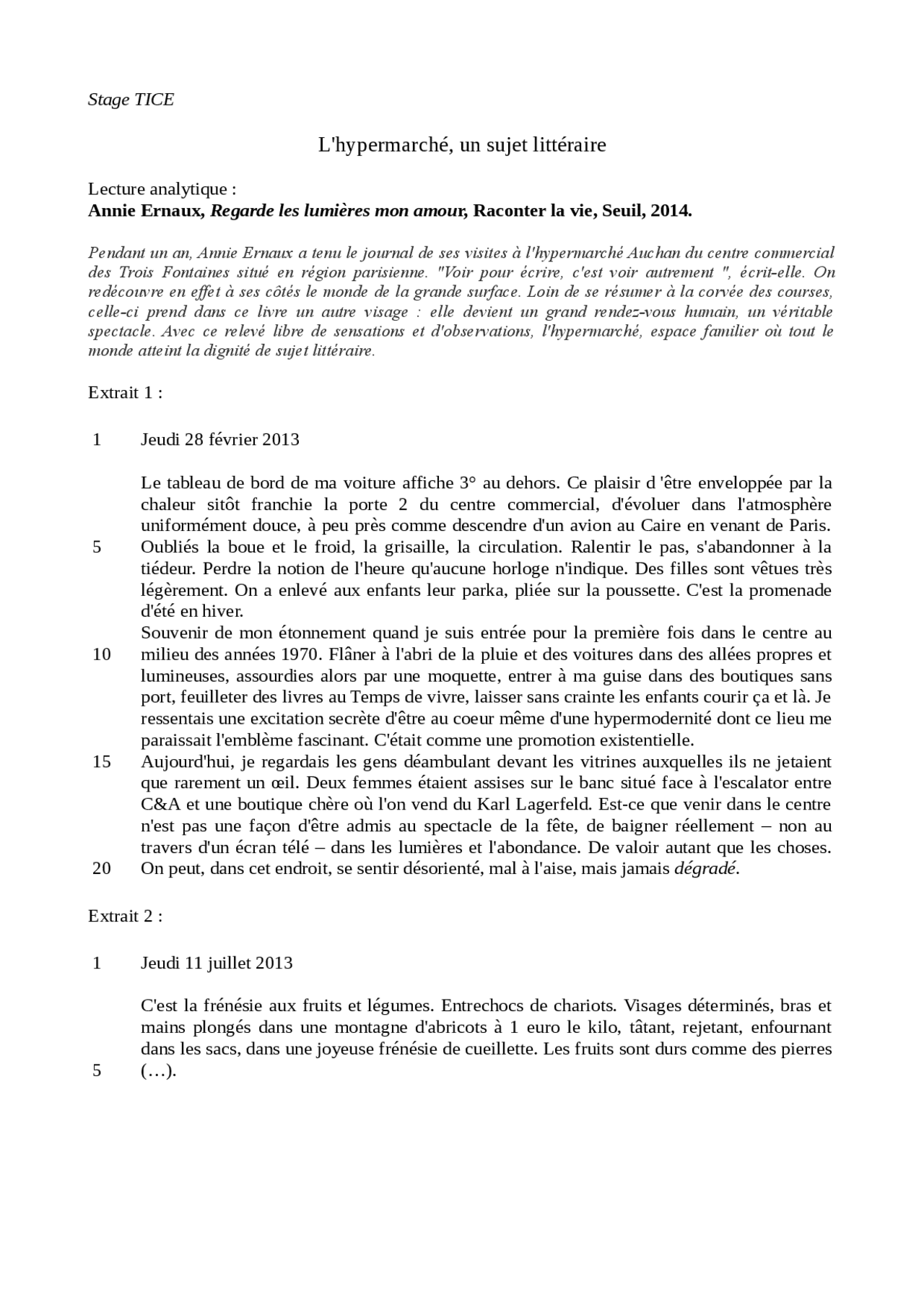 Annie Ernaux, Regarde les lumières mon