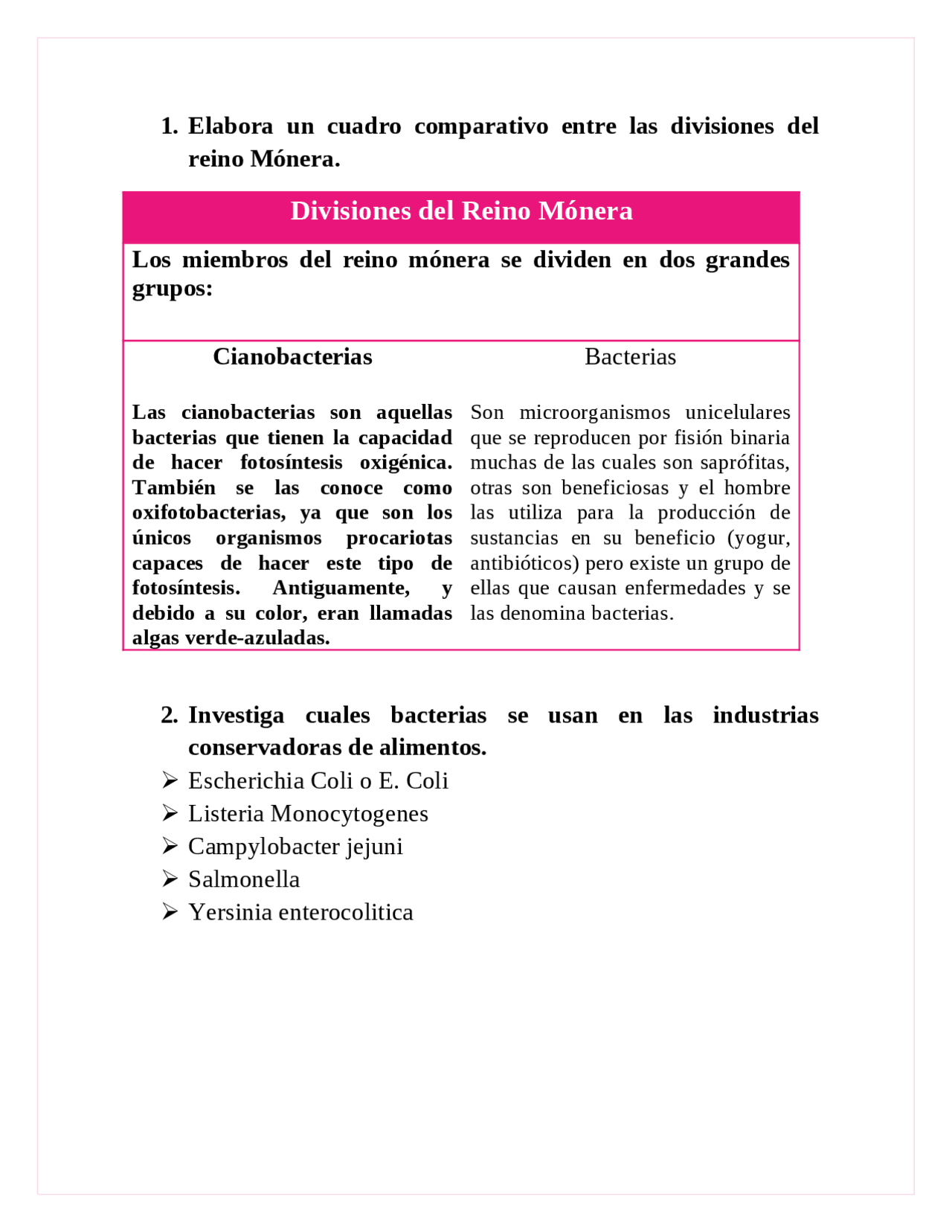 Ejemplo monera (99) foto