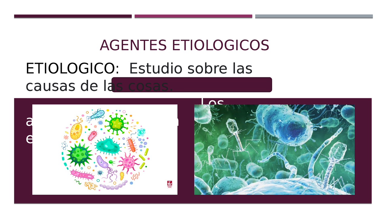 AGENTES ETIOLOGICOS EN SALUD - Docsity