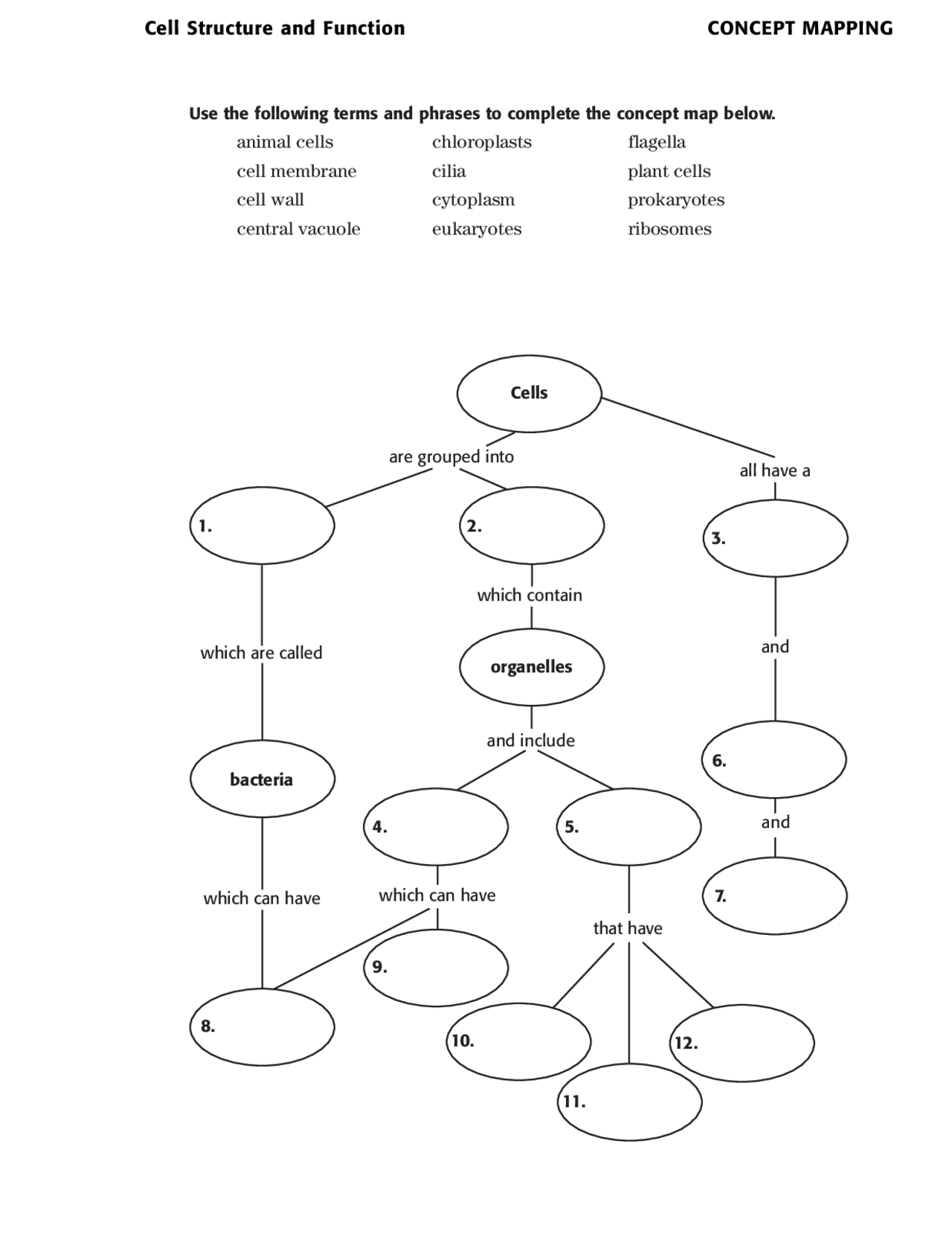 Cell Structures and Concept Mapping with Answers Key - Docsity Inside Cell Concept Map Worksheet Answers