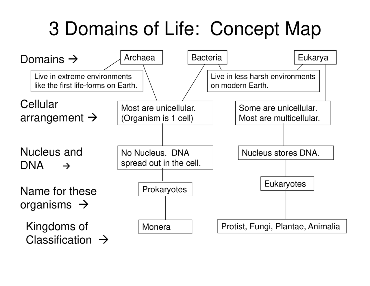 3 Domains of Life: Concept Map - Docsity