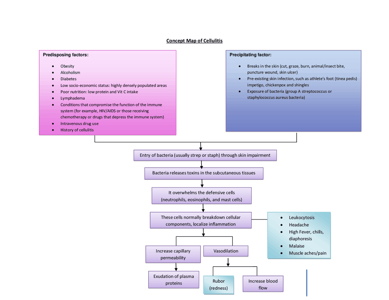 Concept Map of Cellulitis | Schemes and Mind Maps Bacteriology | Docsity