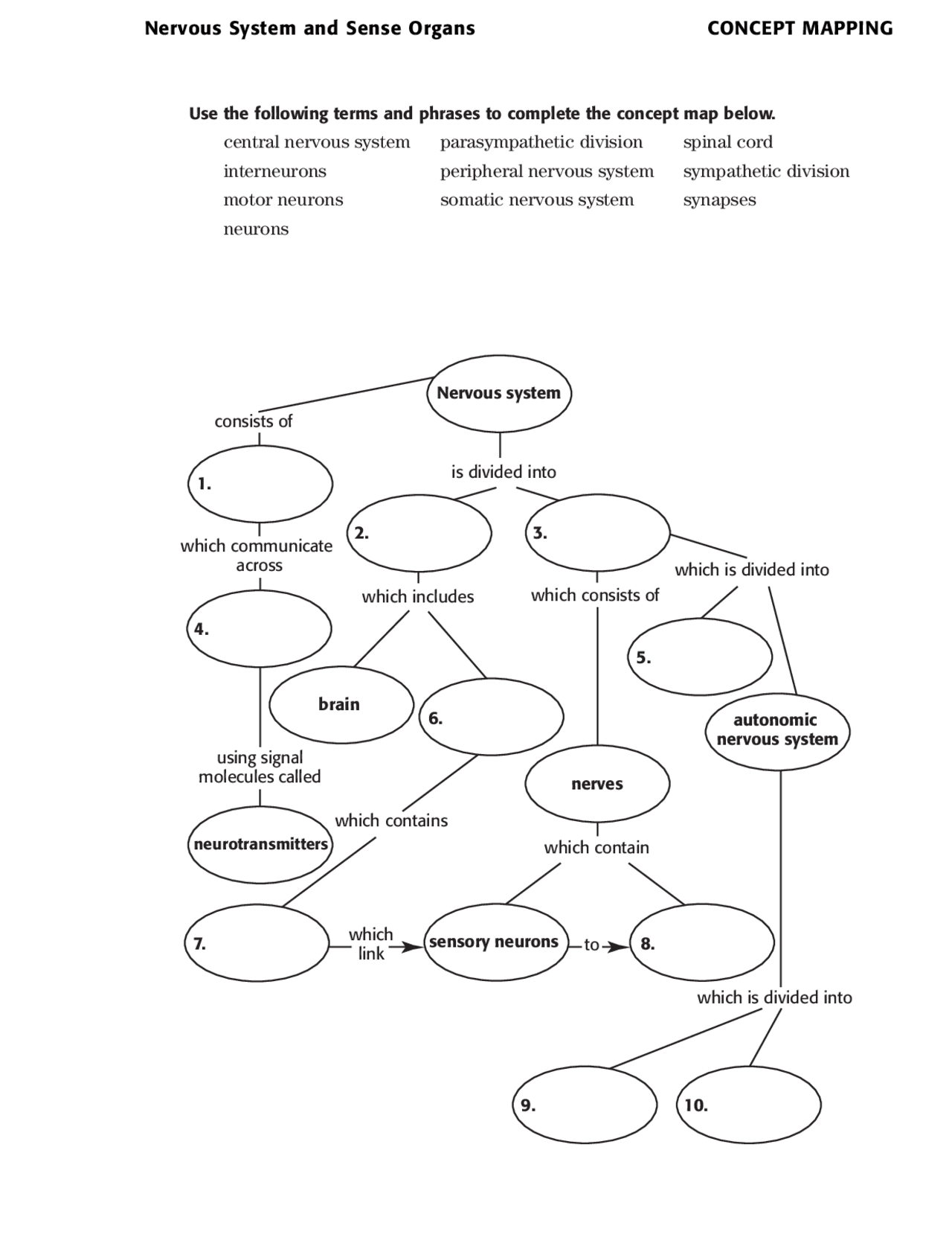 Nervous System and Sense Organs Concept Map with Answer Key | Schemes and  Mind Maps Neurobiology | Docsity