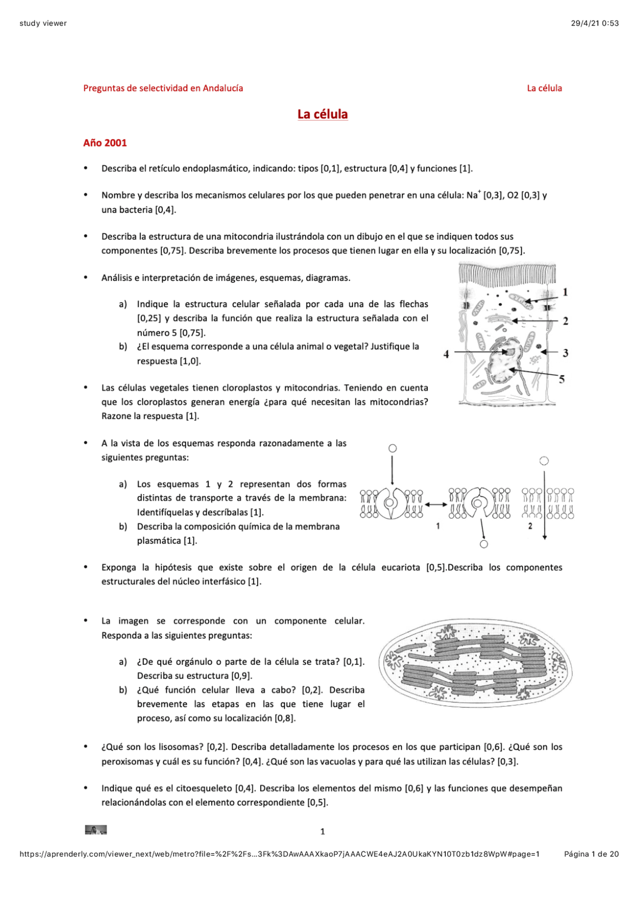 Ejercicios Resueltos Biologia Selectividad Ejercicios Resueltos Biologia Selectividad