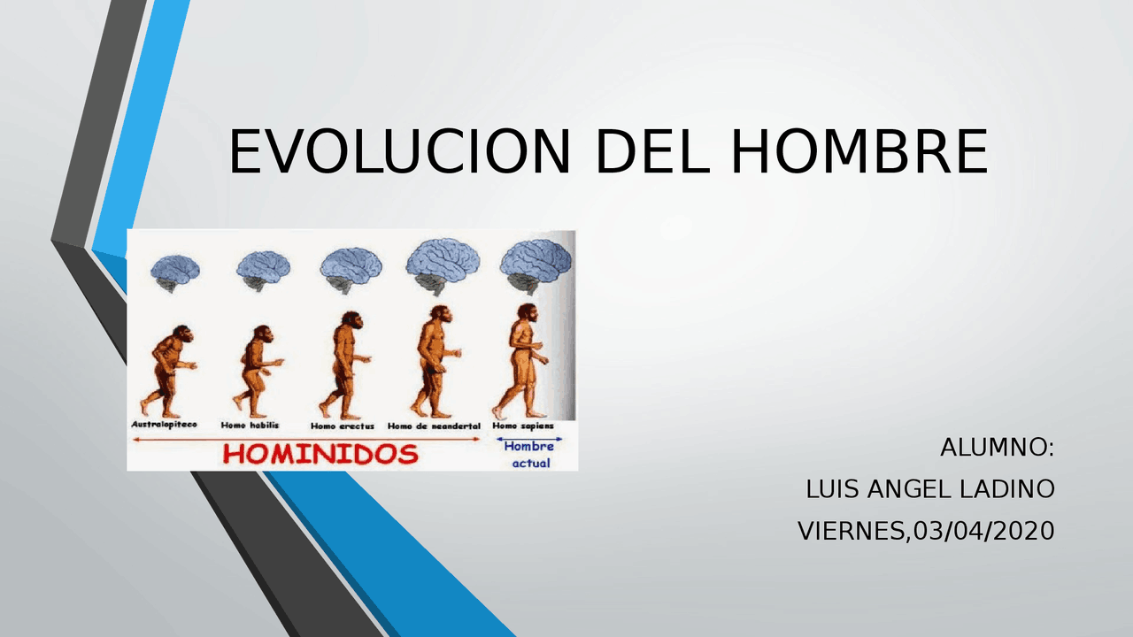 La Evolución Humana: Un Viaje a través del Tiempo en Diapositivas ...