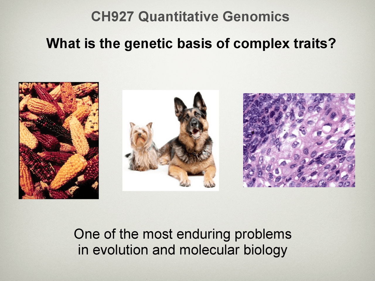 Slides on Complex Traits Genetics - Quantitative Biology | Slides ...