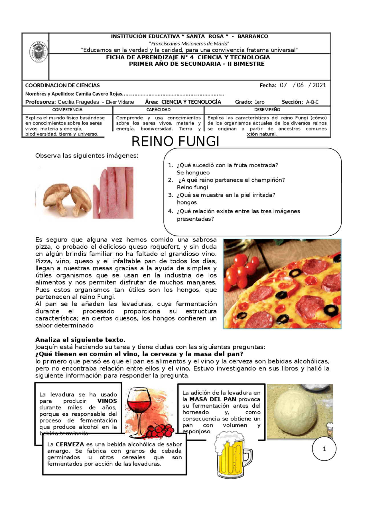 Reino Fungi biologia-quimica | Apuntes de Ciencias | Docsity