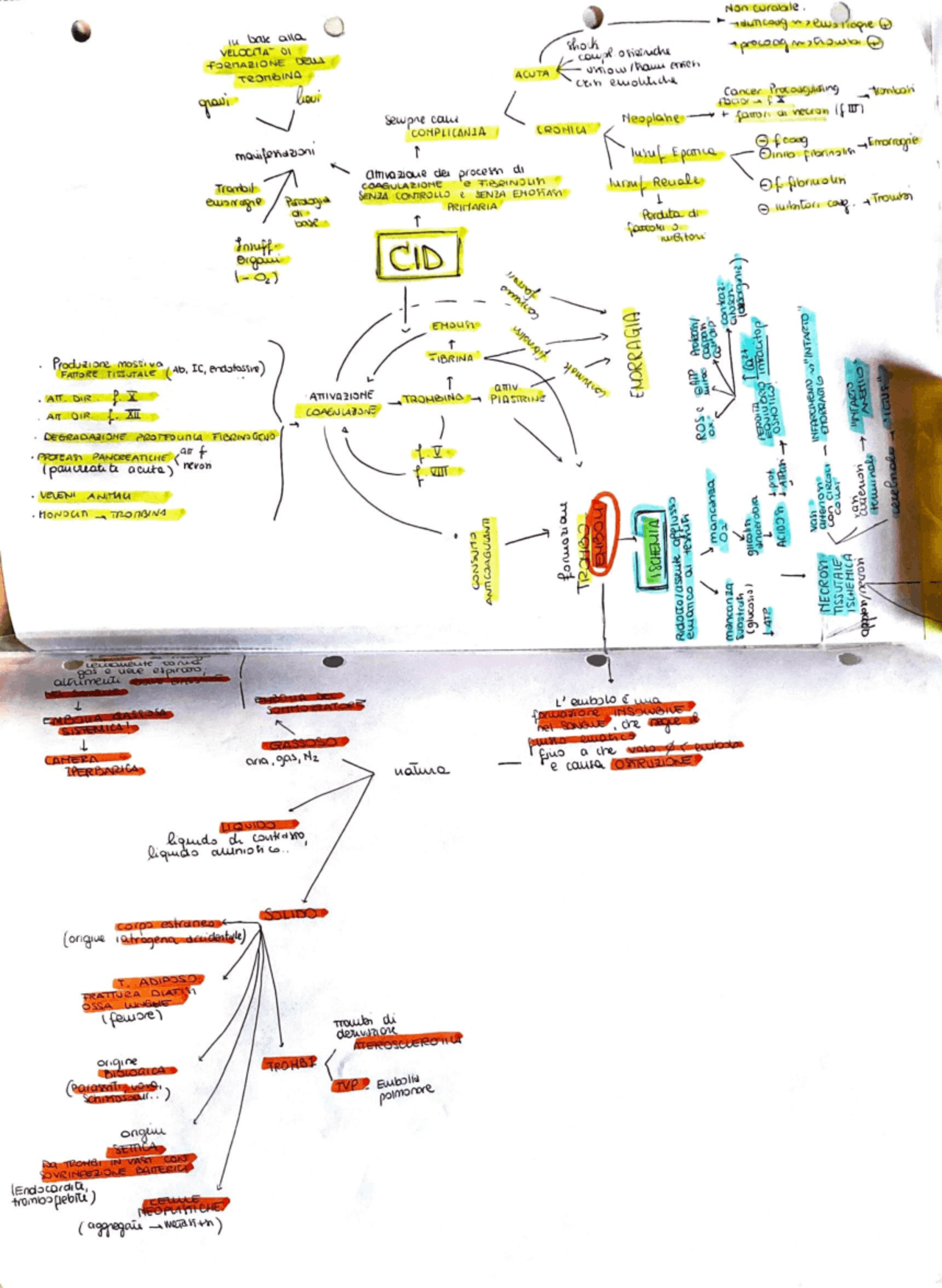 Sindrome da Coagulazione Intravascolare Disseminata Docsity