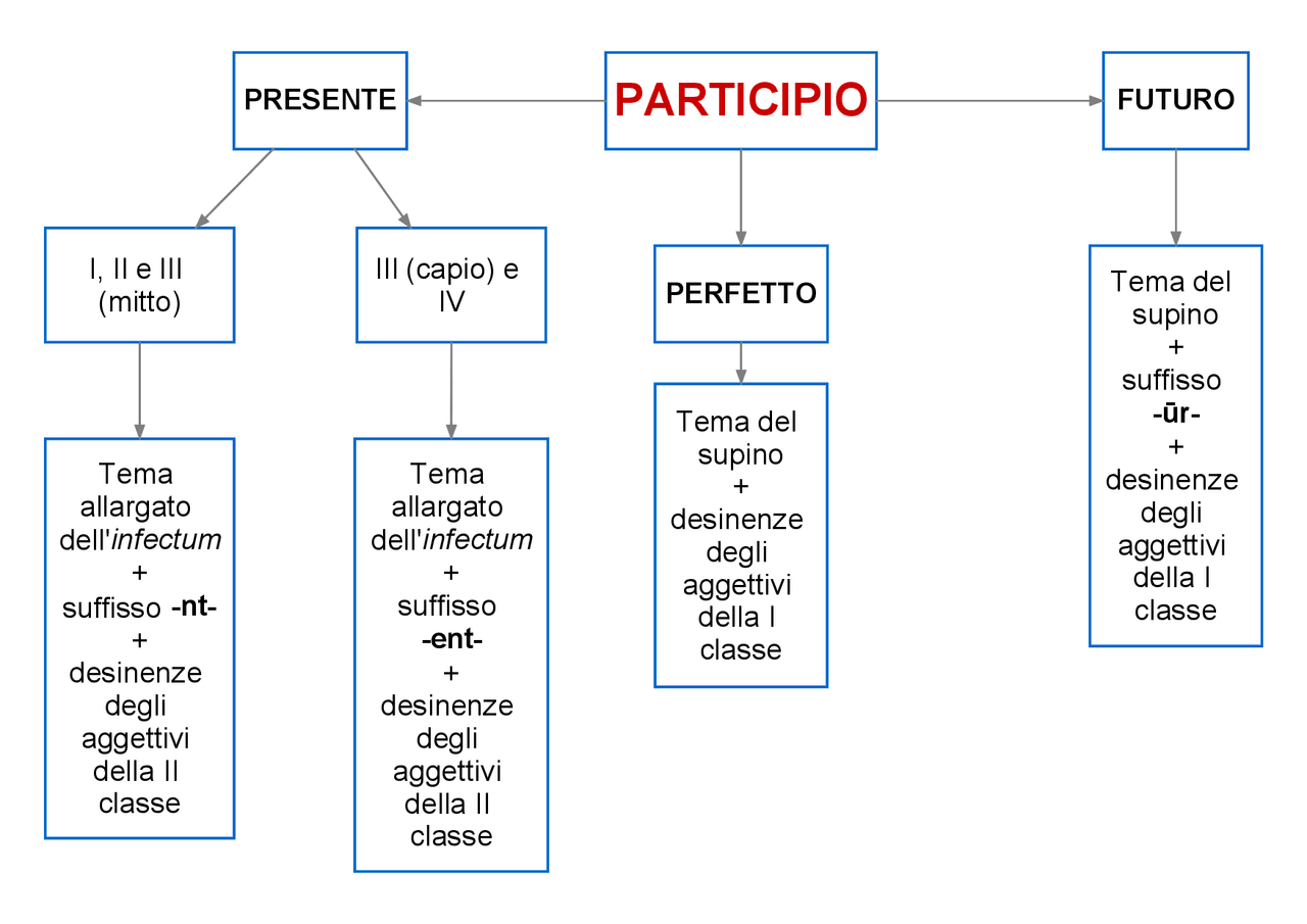 Participio latino - Formazione, tema verbale, suffissi, desinenze - Docsity