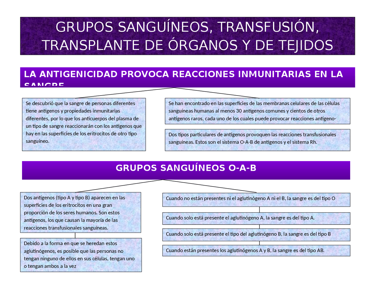 Grupos Sanguíneos Transfusión Trasplante De órganos Y De Tejidos