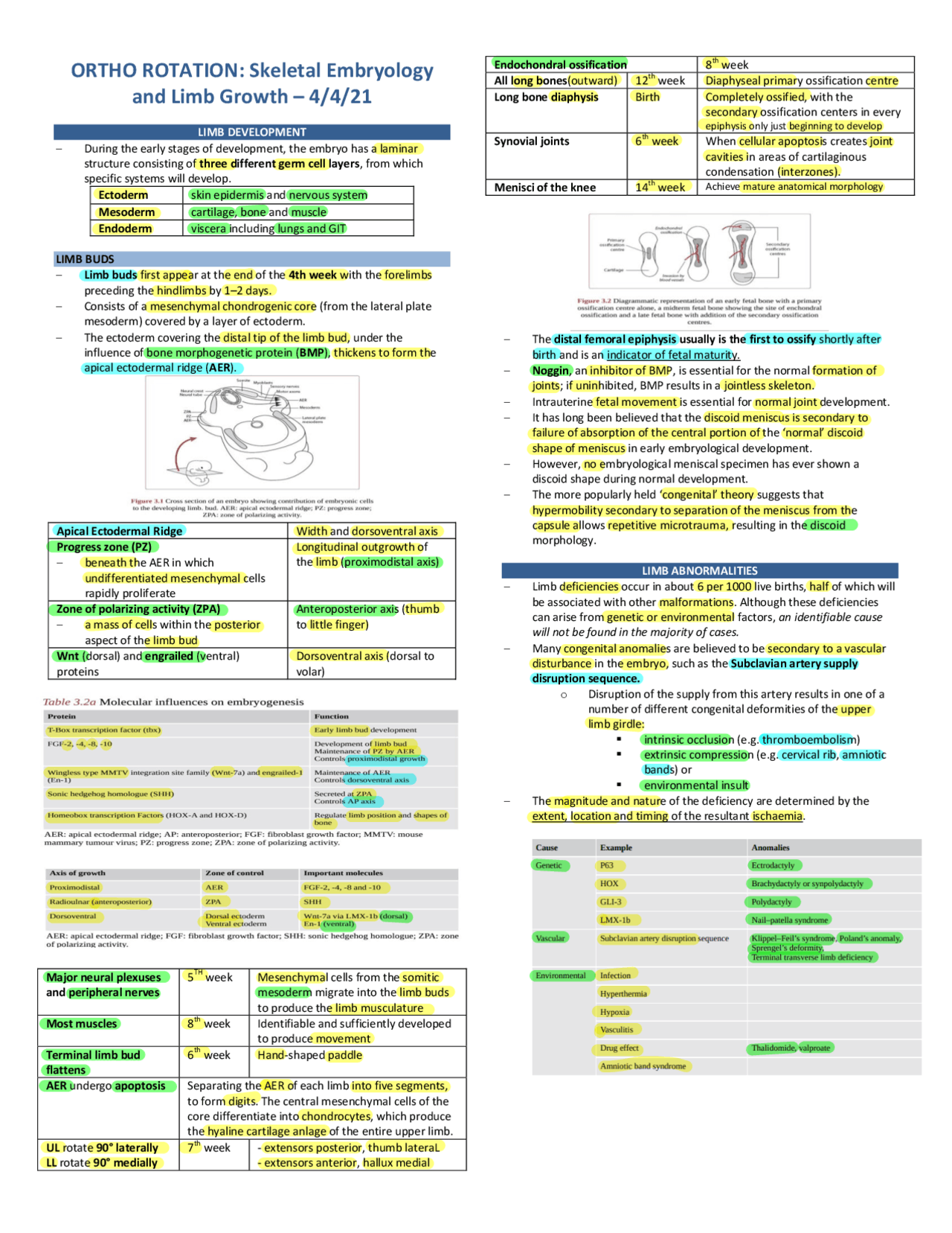 ORTHO ROTATION Skeletal Embryology Docsity