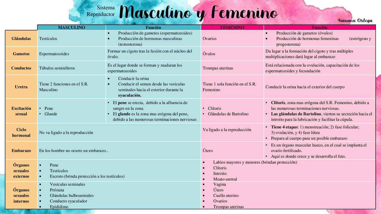 Cuadro comparativo sistema reproductor masculino y femenino | Apuntes