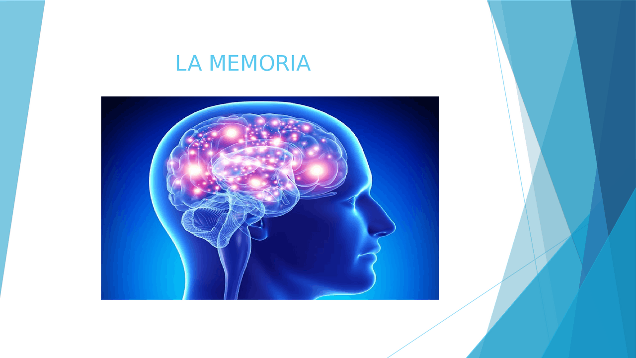 Processo cognitivo 