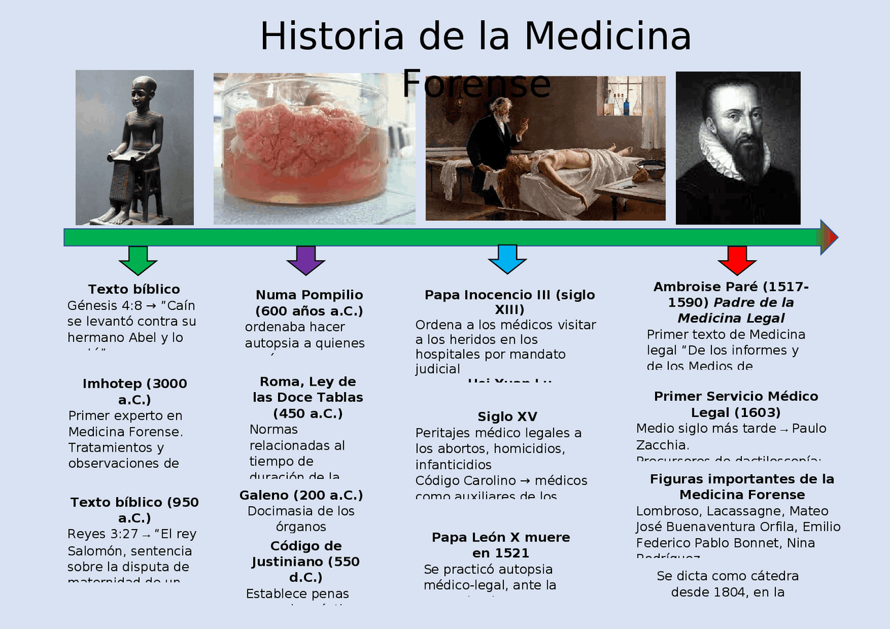 Historia de la medicina forense Docsity Historia de la medicina forense Docsity