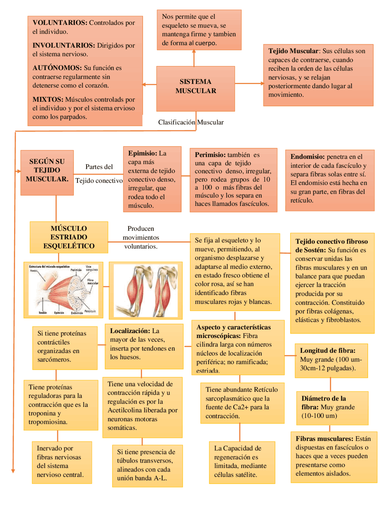 Fisiologos Importantes Fisiologos importantes