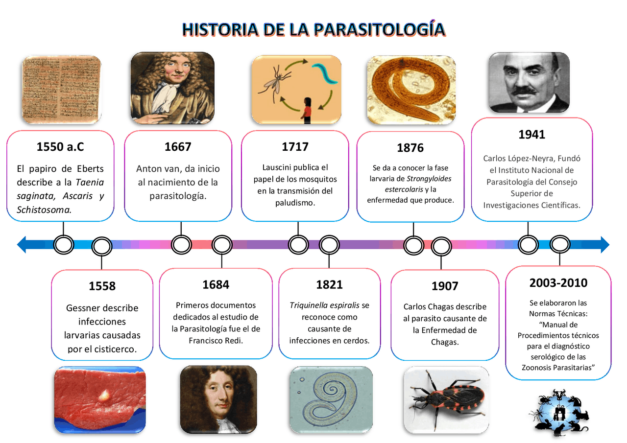 Linea Del Tiempo De La Parasitologia