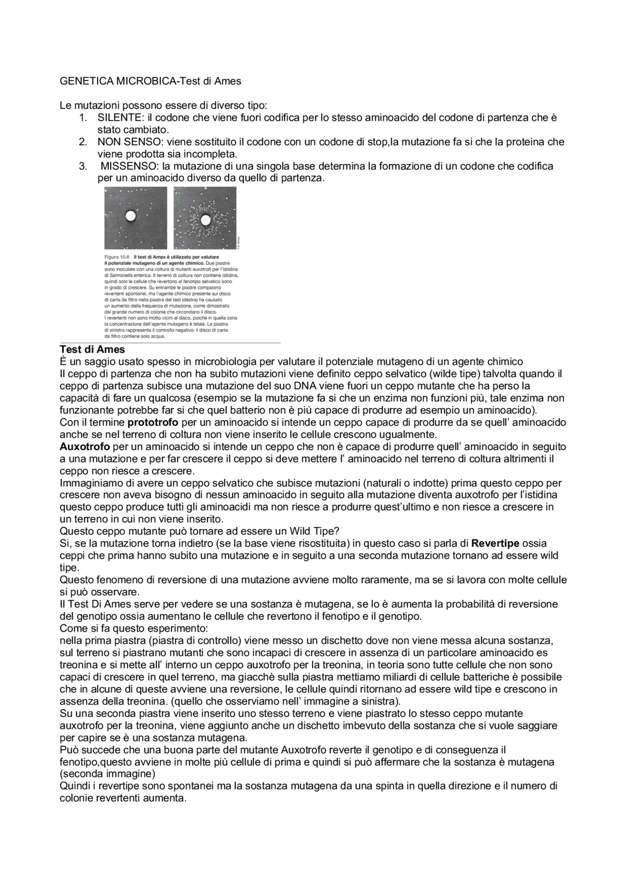Test Di Ames microbiologia Docsity
