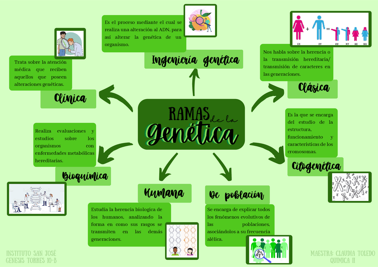Mapa Conceitual Sobre Genetica - LIBRAIN