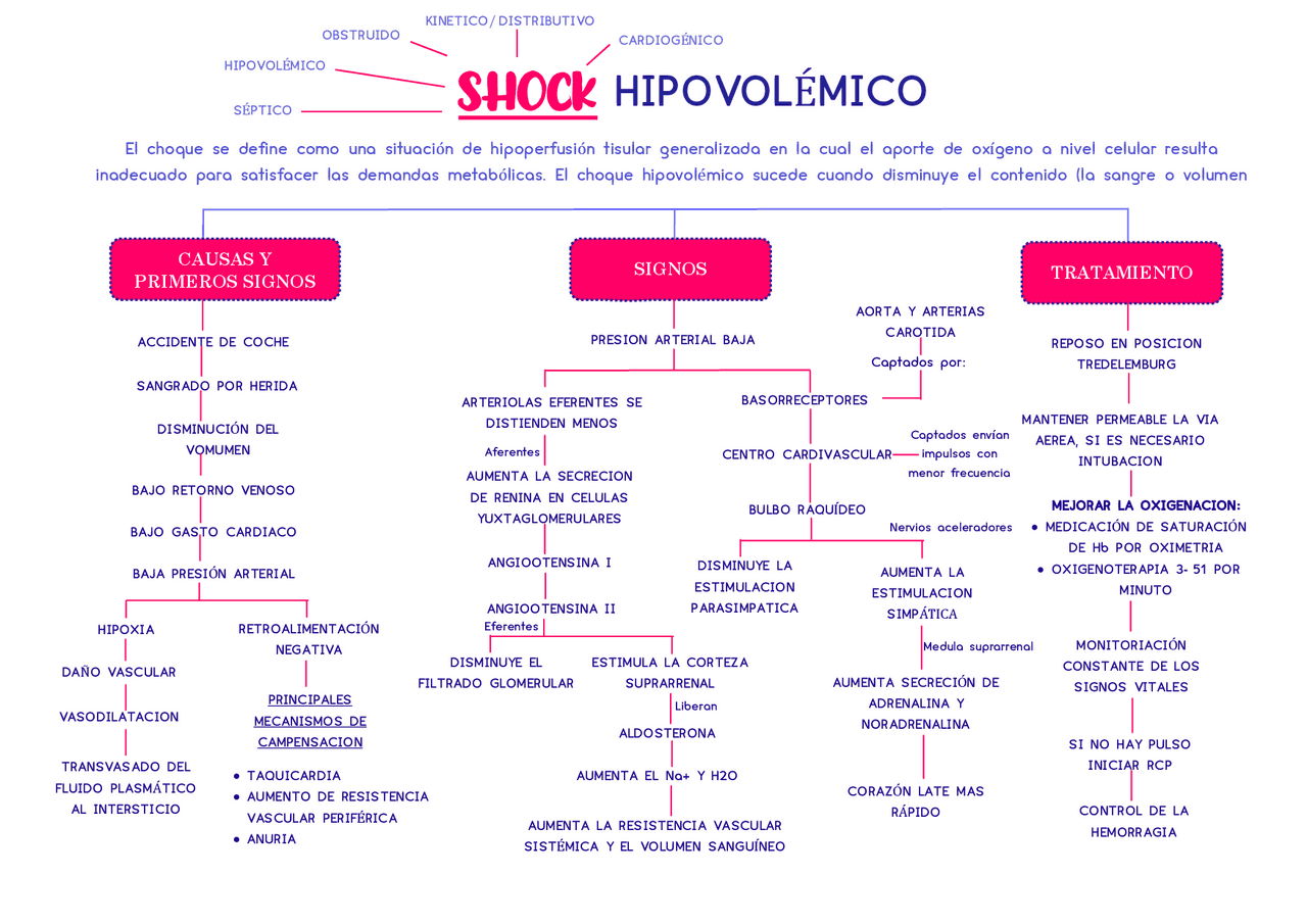 Shock hipovolémico resumen | Esquemas y mapas conceptuales de Anatomía ...