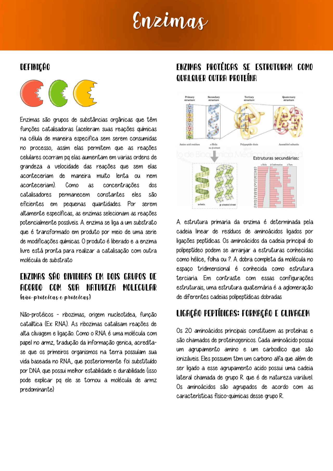 RESUMO DE ENZIMAS - BIOQUIMICA | Resumos Bioquímica | Docsity
