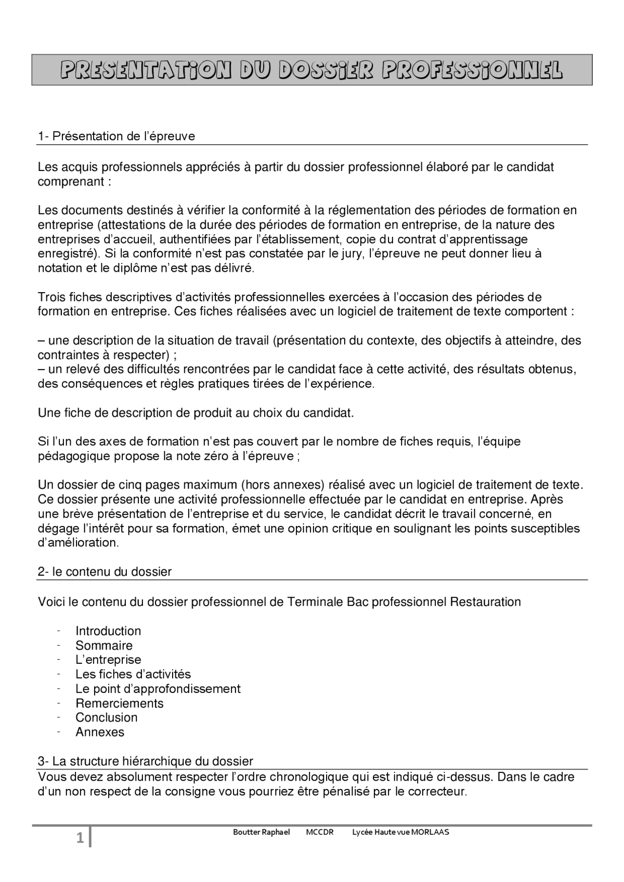 Présentation dÏun dossier professionnel avec exemple - Docsity