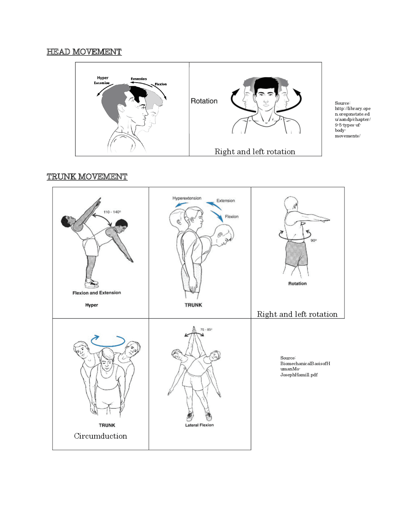 Human Movements Physical - Docsity