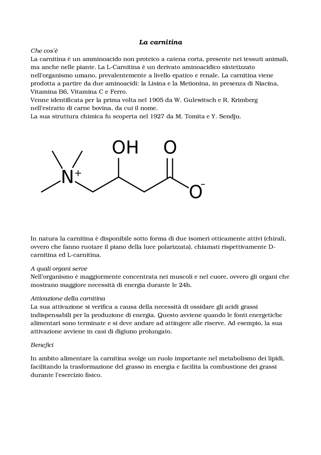 La Carnitina: Suo Ruolo, Struttura e Benefici | Appunti di Biologia