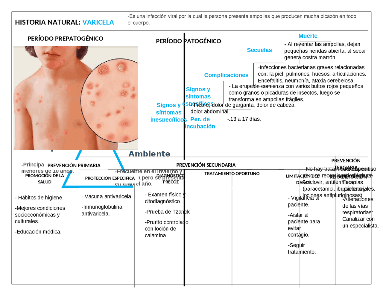 Historia natural de la Varicela | Esquemas y mapas conceptuales de
