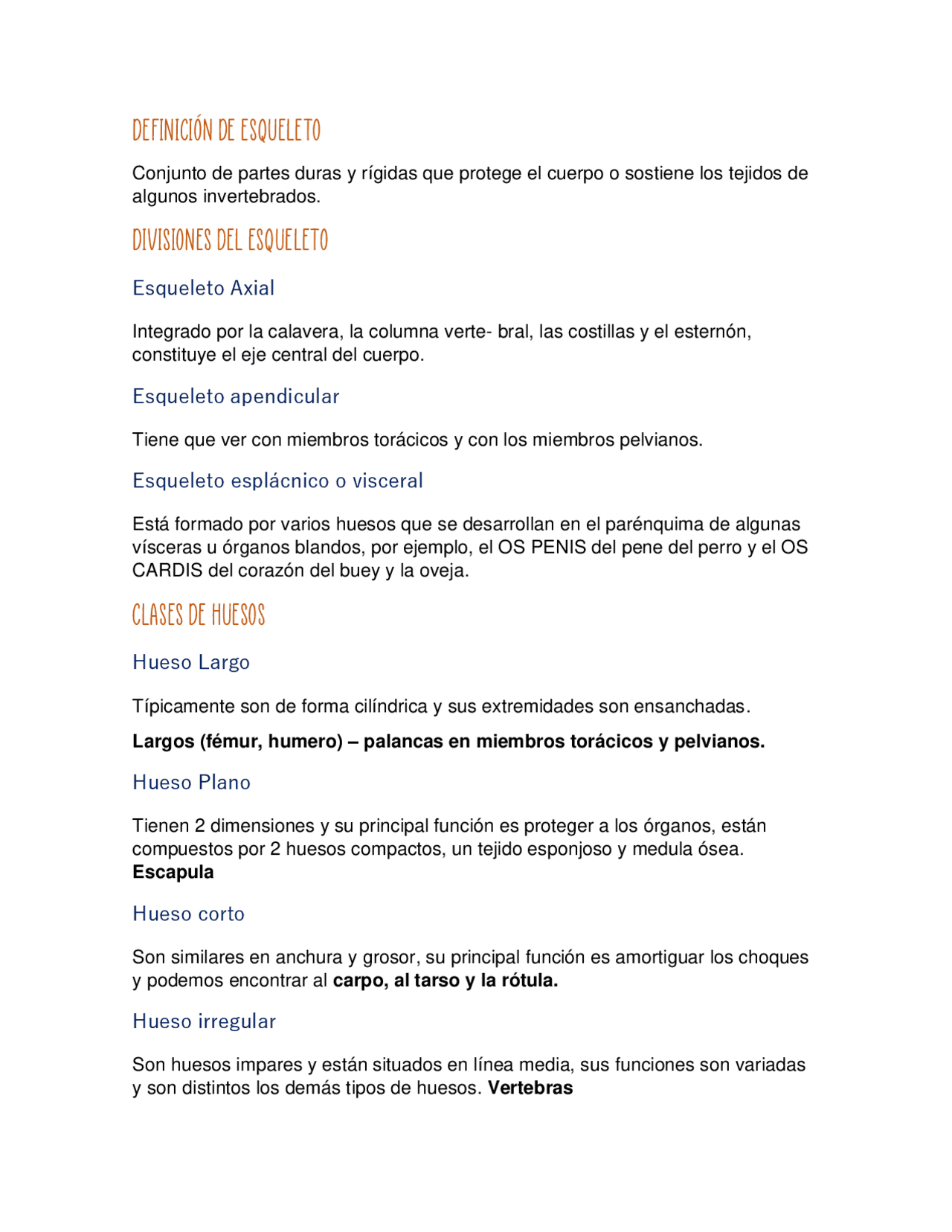 Osteología General Del Equino Appunti Di Anatomia Docsity
