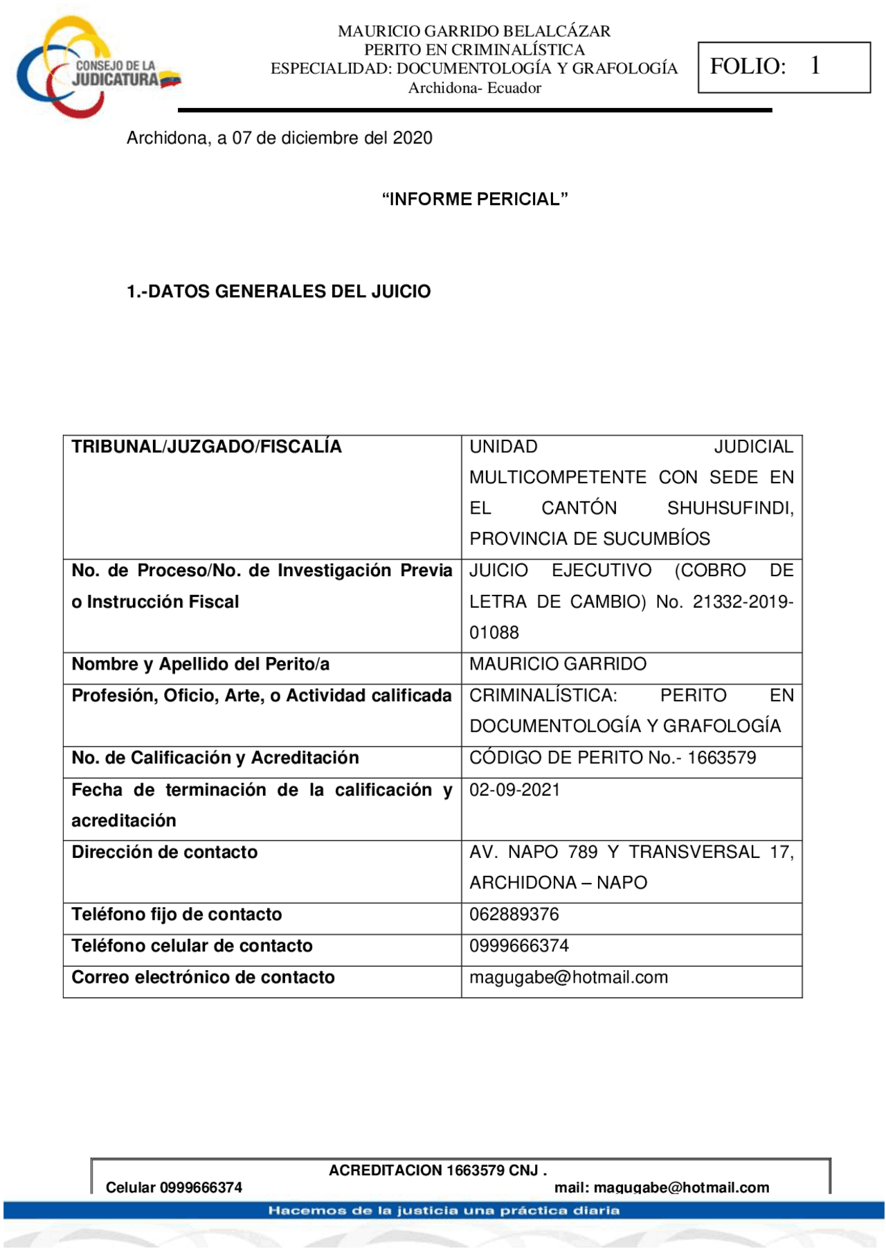 Informe Pericial Documentologico Monograf as Ensayos De Derecho Informe Pericial Documentologico Monograf as Ensayos De Derecho