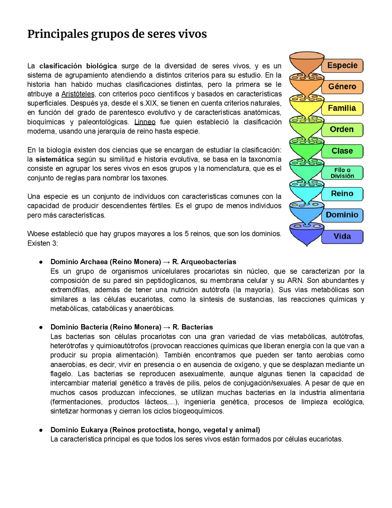 Principales grupos de seres vivos - 1º bachiller | Apuntes de Biología |  Docsity