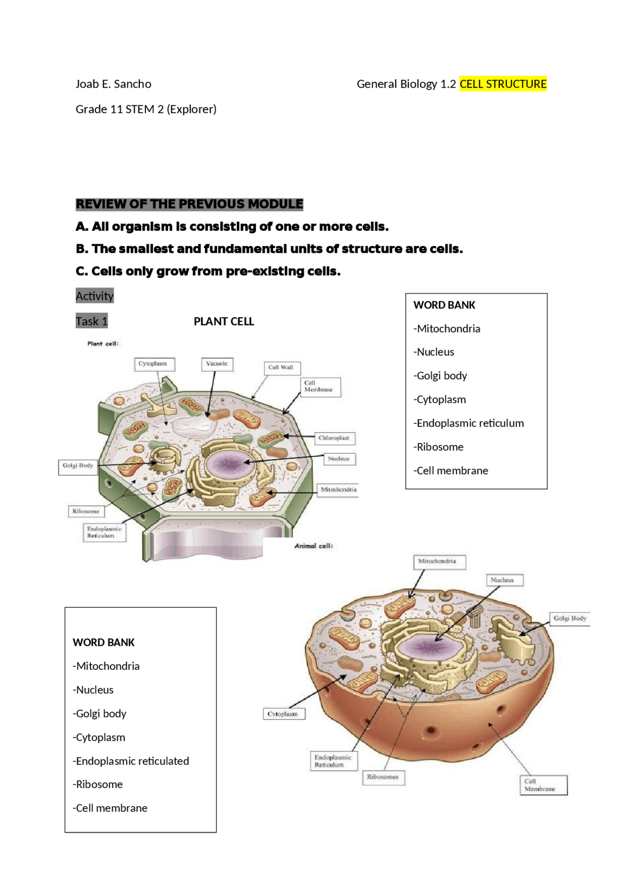 Plant cell and animal cell | Exercises Biology | Docsity
