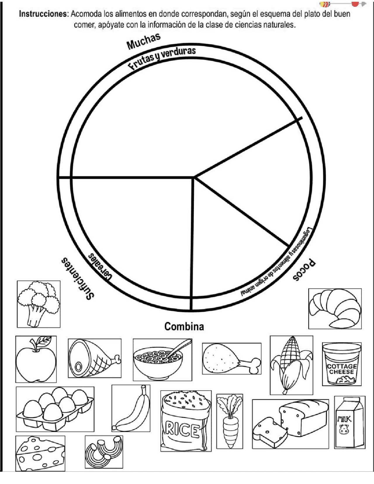 Plato del buen comer Apuntes de Biología Docsity Plato del buen comer Apuntes de Biología Docsity