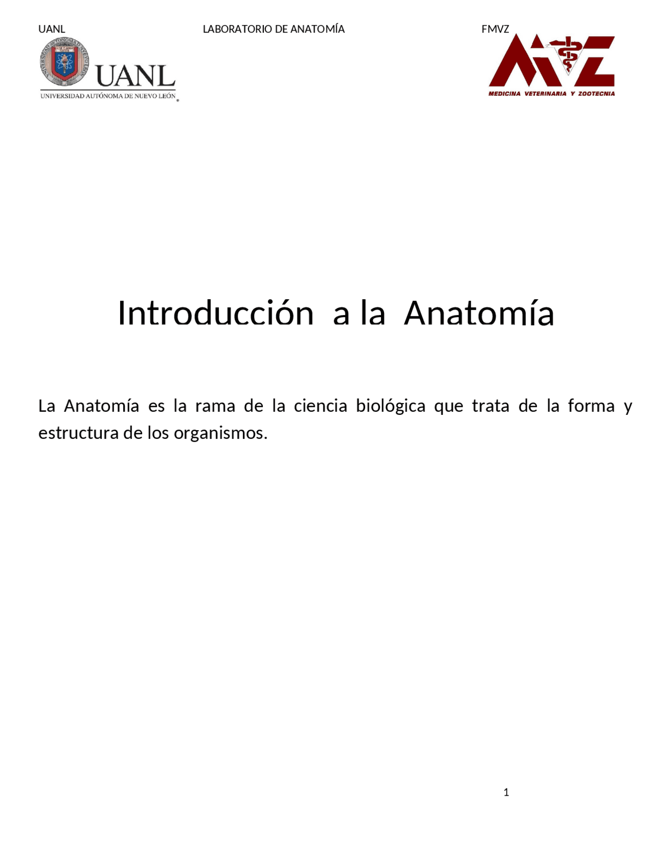 Osteologia Del Equino Docsity