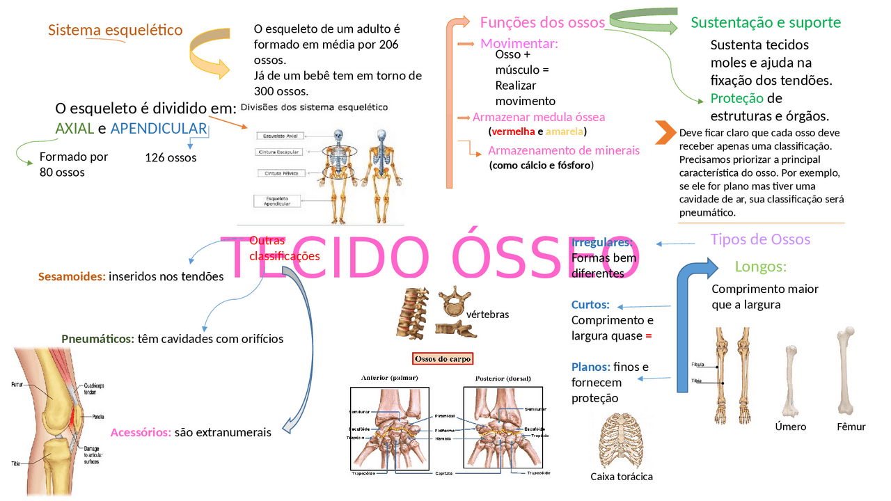 Mapa Mental Tecido Osseo - RETOEDU