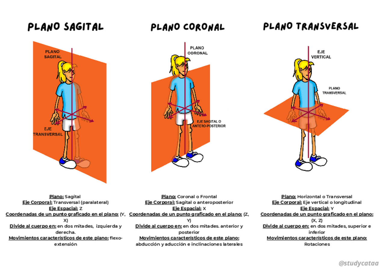 PLANOS Y EJES Con Sus Respectivos Movimientos Esquemas Y Mapas PLANOS Y EJES Con Sus Respectivos Movimientos Esquemas Y Mapas