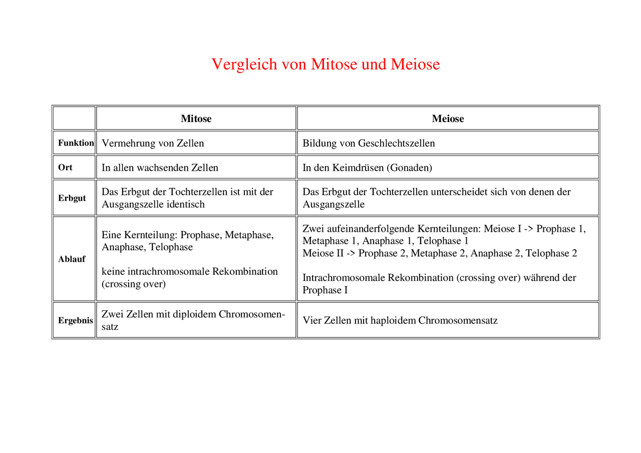Vergleich von Mitose und Meiose | Grafiken und Mindmaps Biologie | Docsity